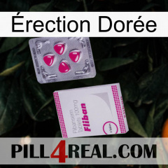 Érection Dorée 32